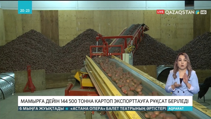 Мамырға дейін 144 500 тонна картоп экспорттауға рұқсат беріледі