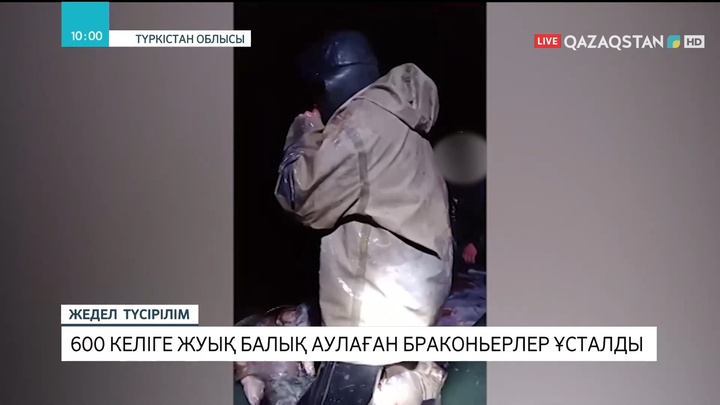 Түркістан облысында 600 келіге жуық балық аулаған браконьерлер ұсталды