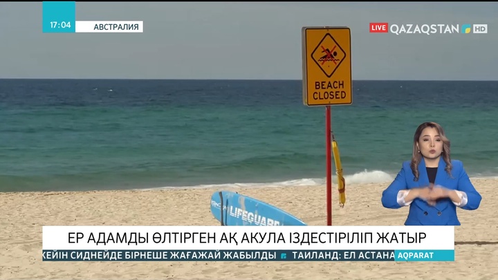Сидней жағажайында ер адамды өлтірген ақ акула іздестіріліп жатыр