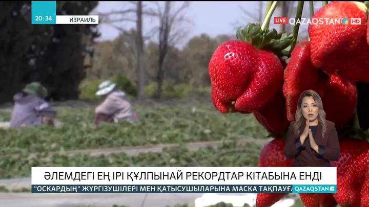 Әлемдегі ең ірі құлпынай рекордтар кітабына енді