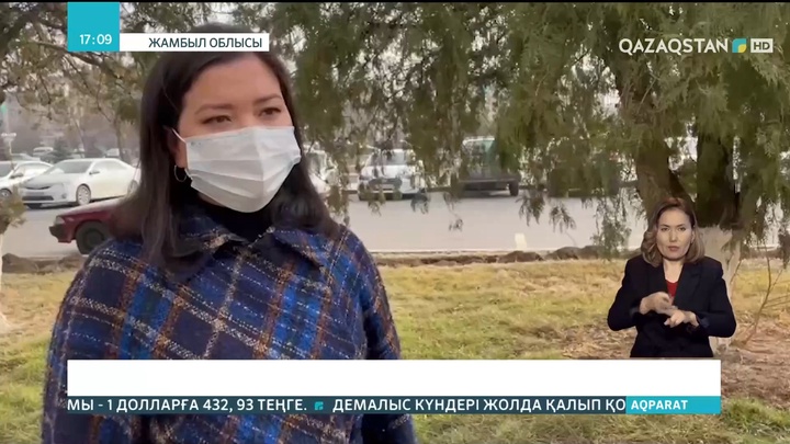 Жамбыл облысында 20 тонна сексеуілді шекара арқылы өткізбек болған тұрғын ұсталды