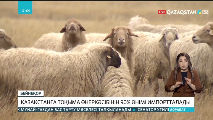 Қазақстанға тоқыма өнеркәсібінің 90% өнімі импортталады