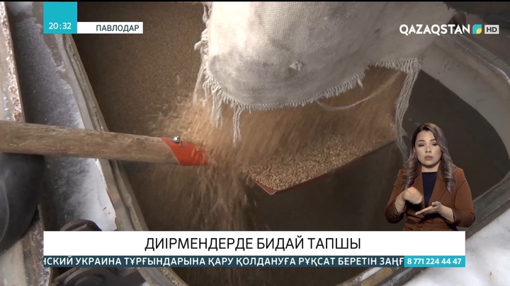 Павлодарда диірмендерде бидай тапшы