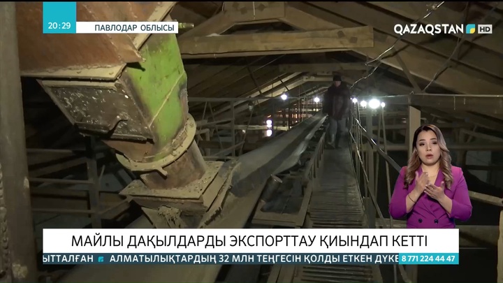 Павлодар облысының дихандары майлы дақылдарды экспортқа жібере алмай отыр