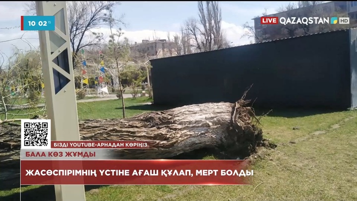 Таразда ағаш құлап, 12 жастағы бала қайтыс болды