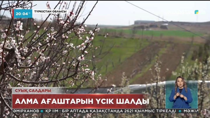 Биыл Қазақстанда алма өнімі азаюы мүмкін