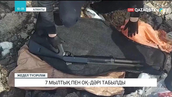 Алматыда 7 мылтық пен оқ-дәрі табылды