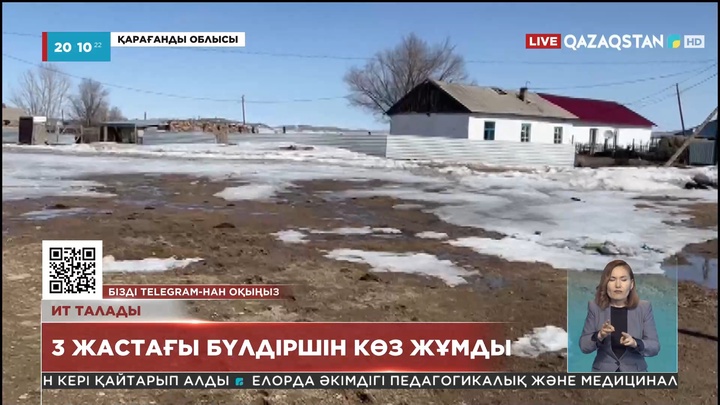 Қарағанды облысында 2 баланы ит талады: біреуі қайтыс болды