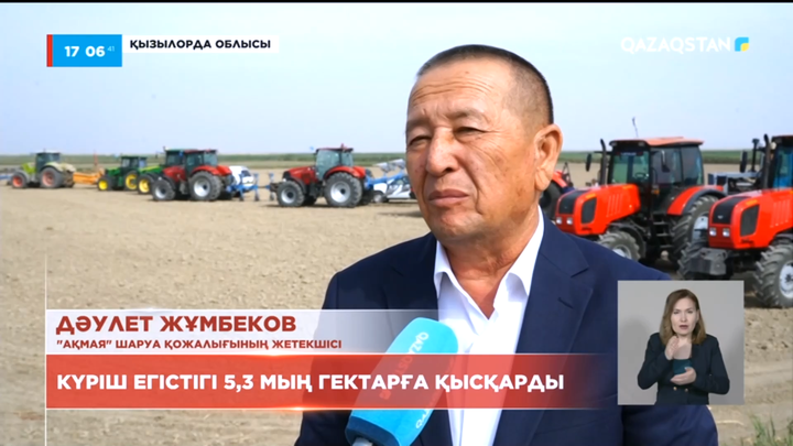 Қызылорда облысында 78 мың гектар алқапқа күріш егіледі