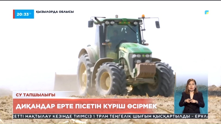 Сыр еліндегі диқандар ерте пісетін күріш өсірмек