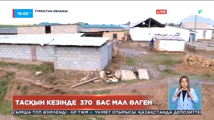Түркістан облысында тасқын кезінде 370 бас мал өлген