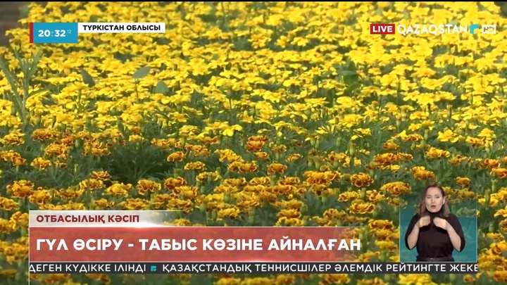 Түркістанда гүл өсіруді табыс көзіне айналдырған отбасы бар