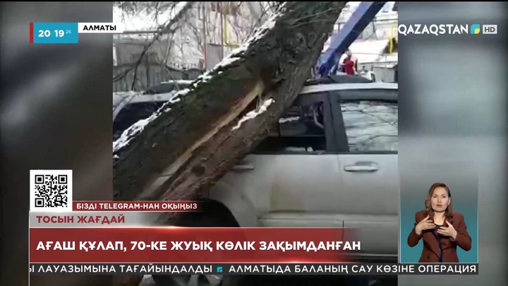 Алматыда наурыз айында 200-ден астам ағаш құлап, 69 автокөлікті зақымдаған