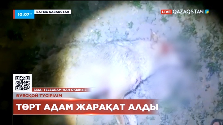 Батыс Қазақстанда төрт адамға қасқыр шапты, олардың бірі – 4 жастағы қыз бала
