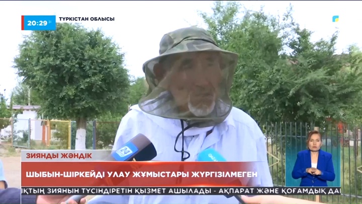 Түркістан облысындағы Отырар, Шардара аудандары мен Арыс қаласында шіркей қаптап кетті