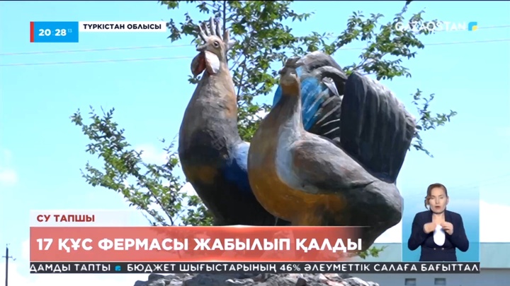 Түркістан облысындағы 17 құс фермасы жабылып қалды