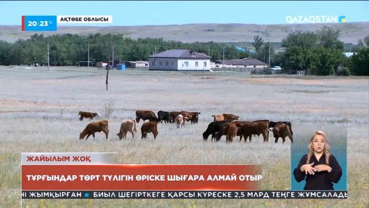 Ақтөбе облысында тұрғындар төрт түлігін өріске шығара алмай отыр