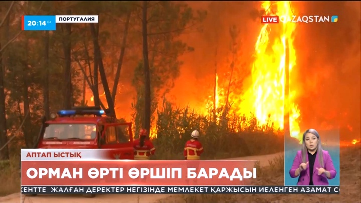 Португалияның орталық аудандарында орман өрті өршіп барады