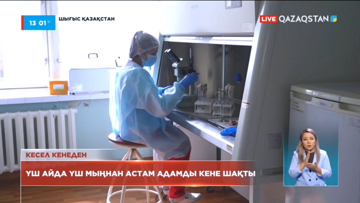 Шығыс Қазақстанда төрт адам кене энцефалитіне шалдықты