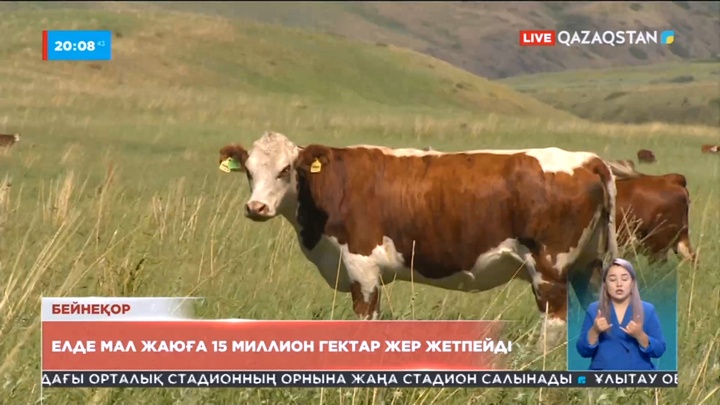Елде мал жаюға шамамен 15 миллион гектар жер жетіспейді
