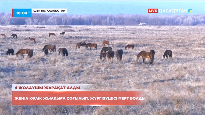Шығыста жеңіл көлік жылқыға соғылып, 21 жастағы жүргізуші мерт болды