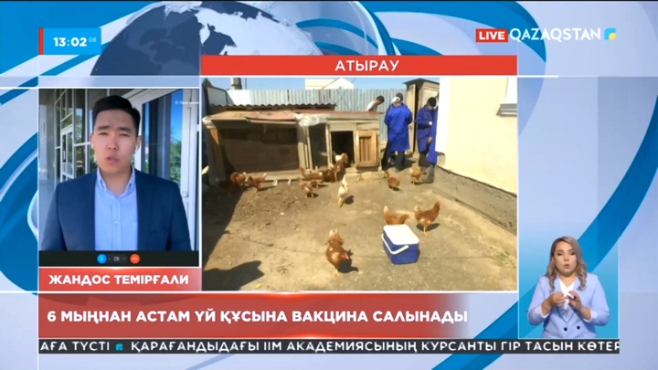 Атырауда 6 мыңнан астам үй құсына вакцина салынады