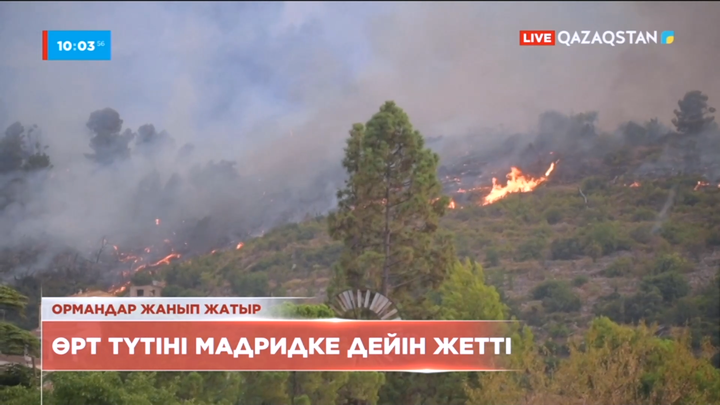 Португалиядағы орман өртінің түтіні Испанияға жетті