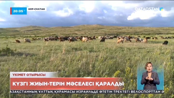 Үкімет отырысында күзгі жиын-терін мәселесі қаралды