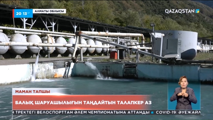 Маман тапшы: Балық шаруашылығын таңдайтын талапкер аз