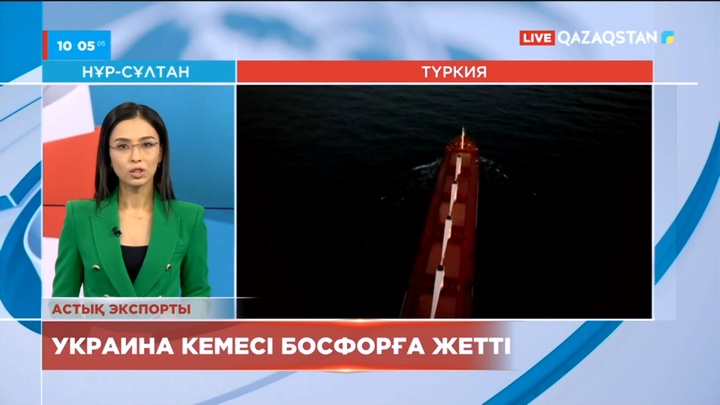 Украиналық астық тиелген кеме Босфорға жетті