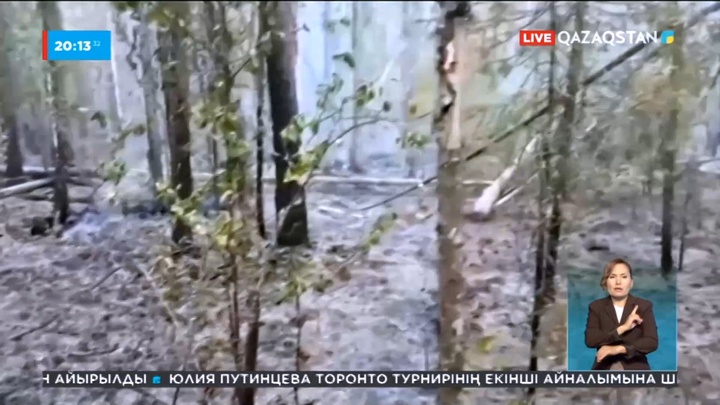 Сібірде өртпен күреске қосымша ұшақтар жіберілді