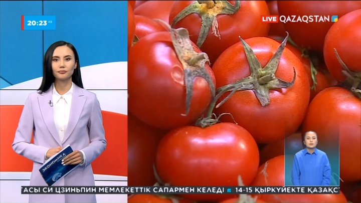 Елде бағаны тұрақтандыру үшін шаруаларға көмек беріледі