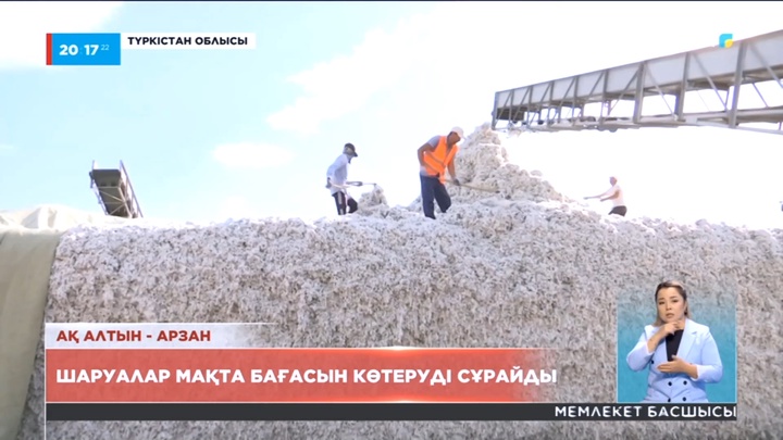 Түркістан облысында шаруалар мақта бағасын көтеруді сұрайды