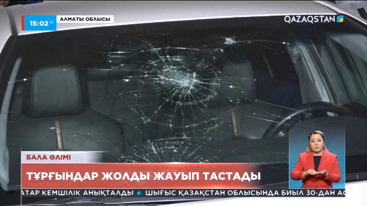 Алматы облысында 11 жастағы баланы көлік қағып кетті