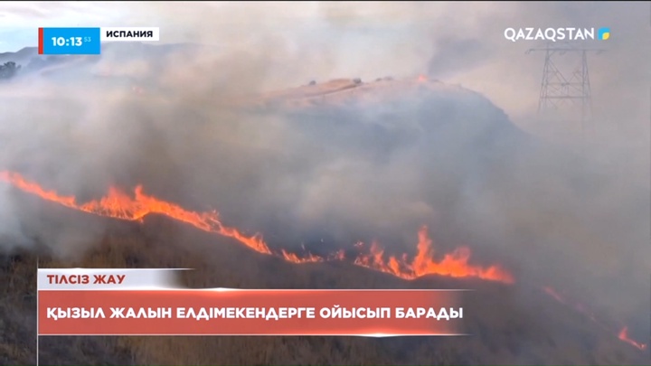 Әлемнің бірқатар елінде орман өрті дес бермей жатыр