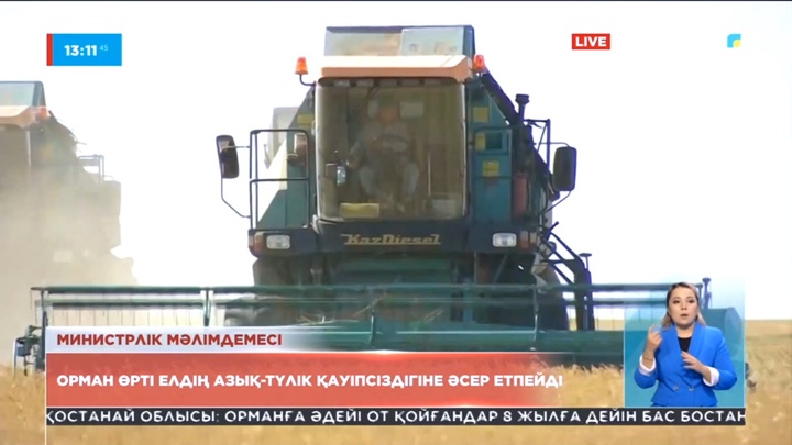 Орман өрті елдің азық-түлік қауіпсіздігіне әсер етпейді – Министрлік мәлімдемесі