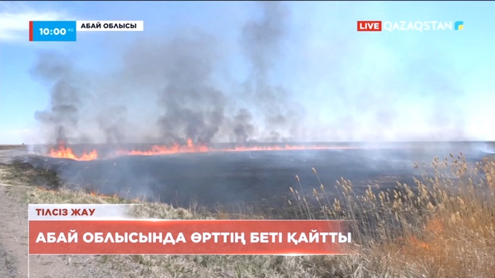 Тілші хабарлайды: Абай облысындағы өрттен келген шығын көлемі есептеліп жатыр