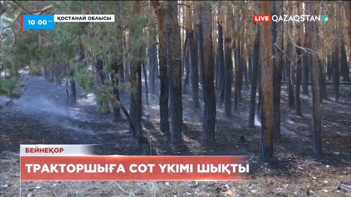 Қостанайдағы орман өрті тракторшының салғырттығынан тұтанған