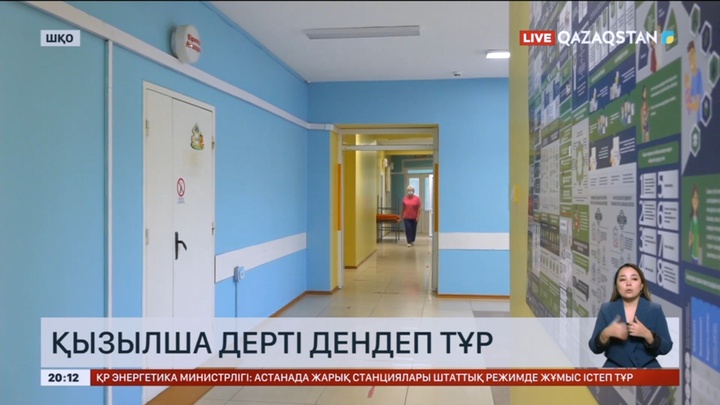 Шығыс Қазақстанда қызылша дерті өршіп тұр