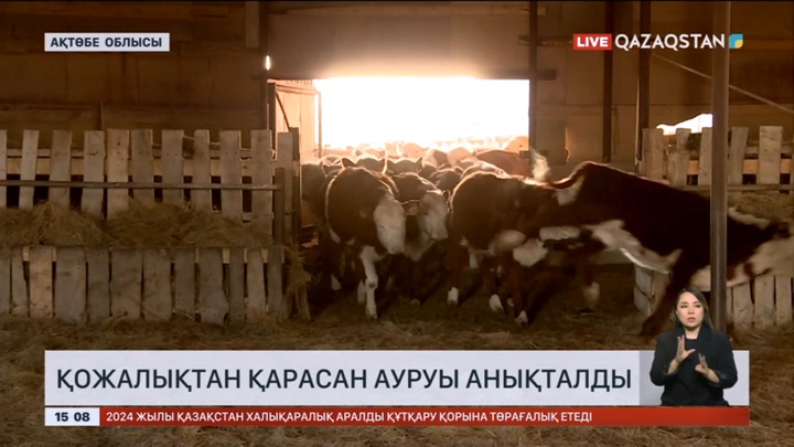 Ақтөбе облысында қожалықтан қарасан ауруы анықталды