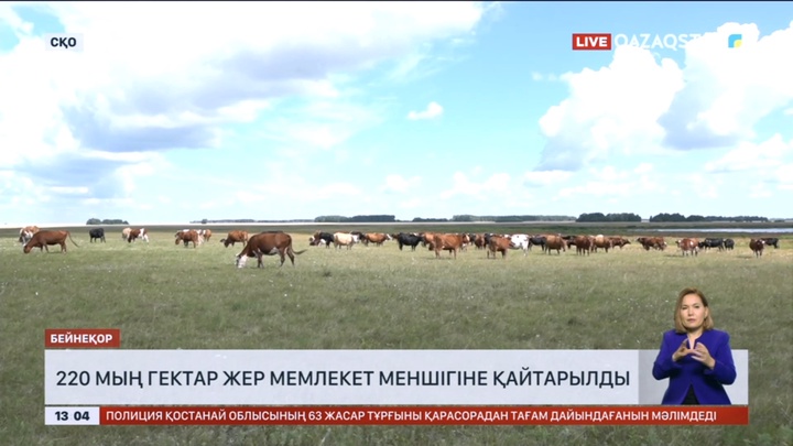 Солтүстік Қазақстанда 220 мың гектар жер мемлекет меншігіне қайтарылды