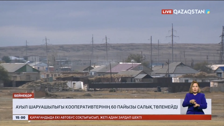 Сенат: Ауыл шаруашылығы кооперативтерінің 60 пайызы салық төлемейді