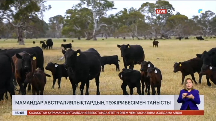 Отандық агро саласының мамандары мен шаруалар аустралиялық ветеринария тәжірибесін зерделеді