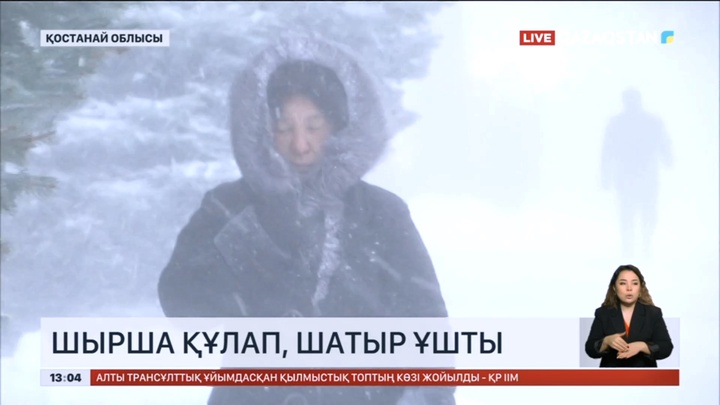 Қостанай облысында шырша құлап, шатыр ұшты