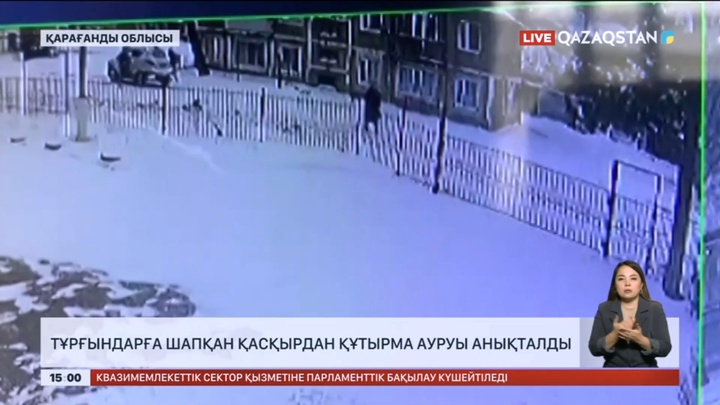 Қарағанды облысында тұрғындарға шапқан қасқырдан құтырма ауруы анықталды