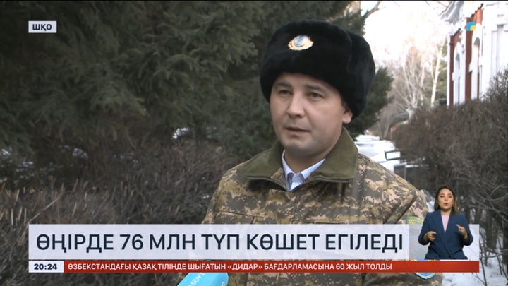 Шығыс Қазақстанда 76 миллион түп көшет егіледі