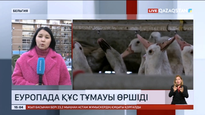 Еуропада құс тұмауы өршіді