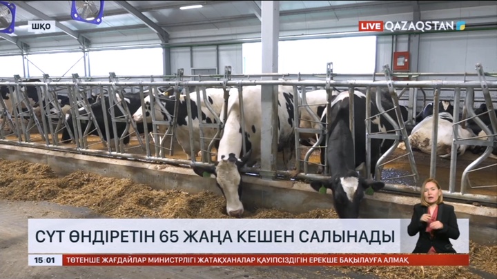 Елімізде сүт өндіретін 65 жаңа кешен салынады