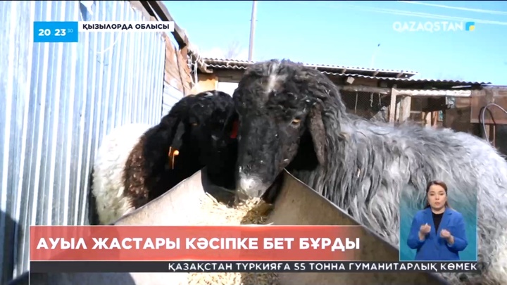 Қызылордада ауыл жастары кәсіпке бет бұрды