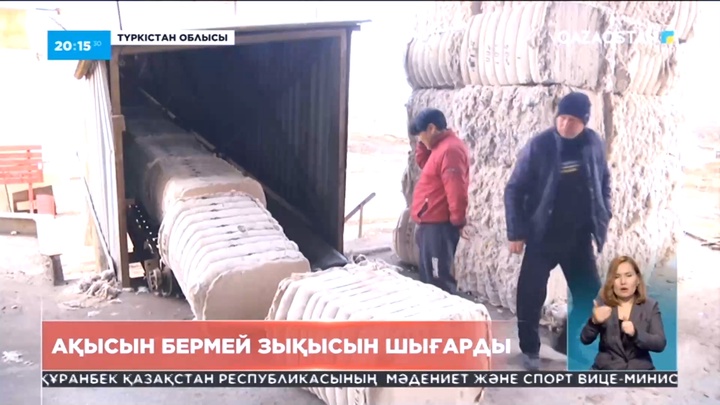 Түркістан облысының мақташылары күзде өткізген өнімдерінің ақшасын ала алмай жүр